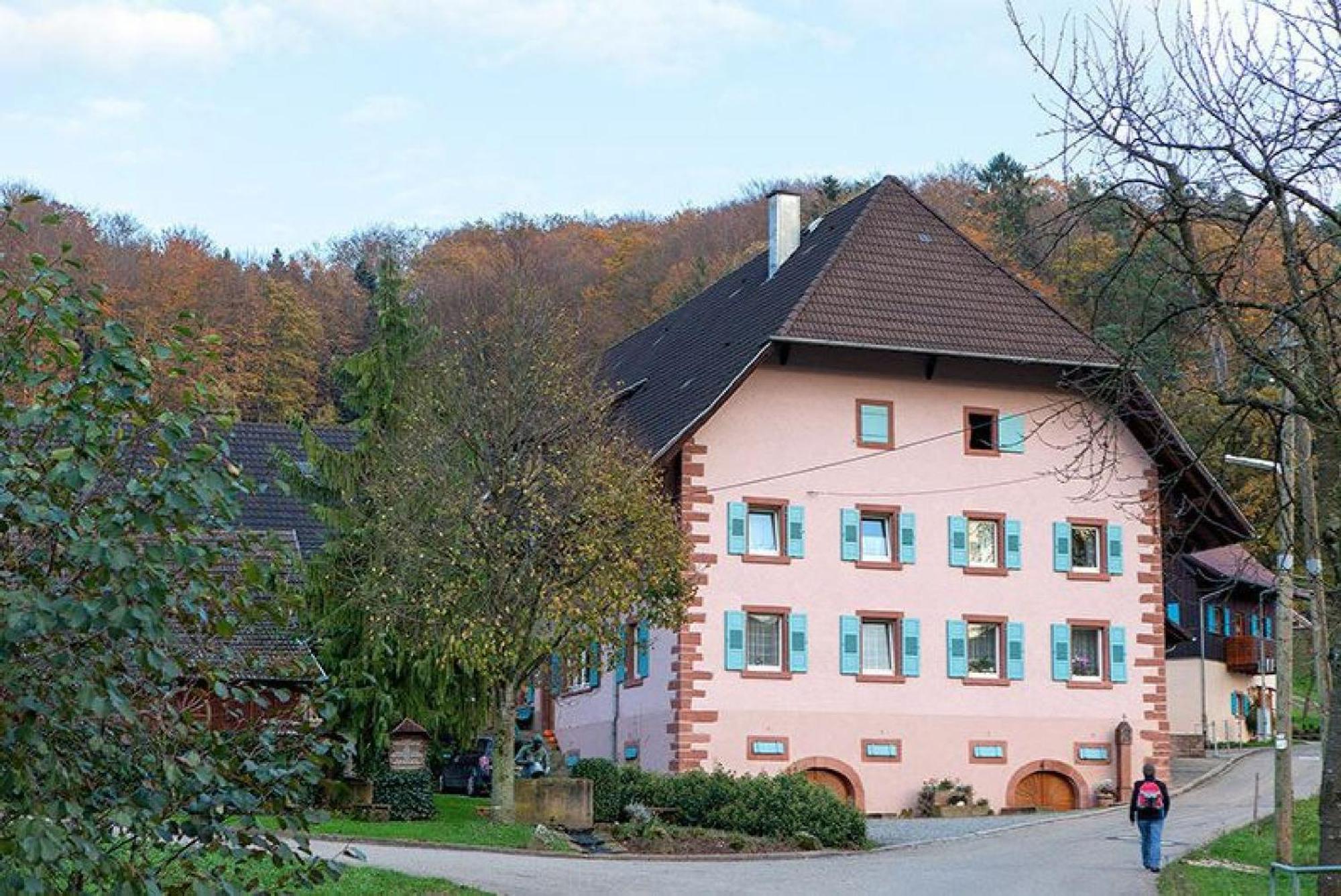 Ziegelhof Apartment Schuttertal ภายนอก รูปภาพ